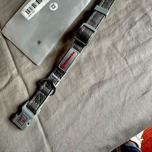 New gray dog collar,